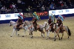 Quadrille - 00149
